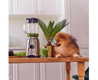 Zelmer Blender kielichowy ZSB4799 - 561812 - zdjęcie 4